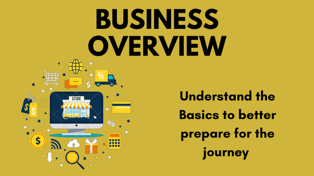 Business Overview