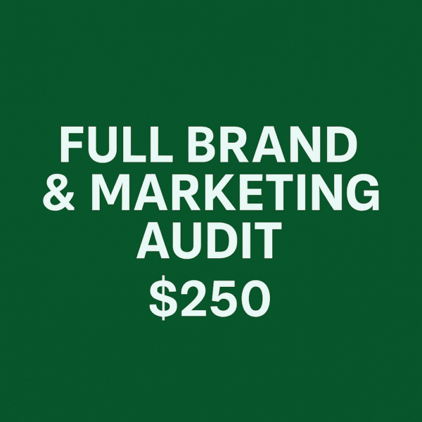 Brand & Marketing Audit – Audit360